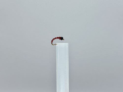 True Flies (Diptera) • FlyFish Circle