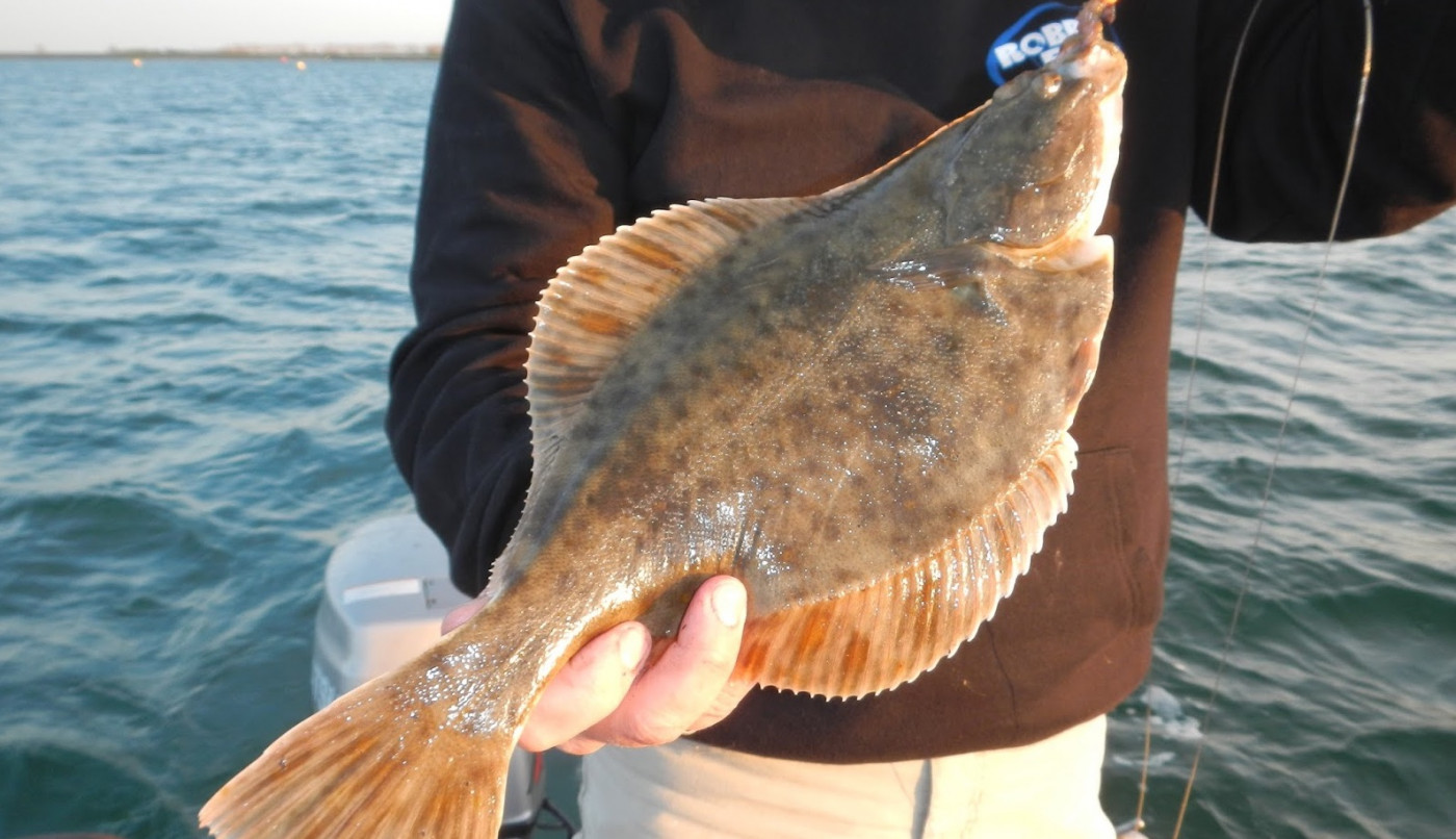Fly fishing for European Flounder • FlyFish Circle