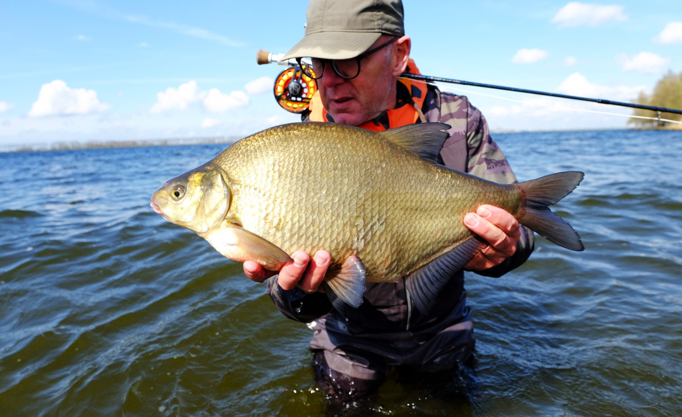 Fish Breamer Fly fishing for Bream • FlyFish Circle