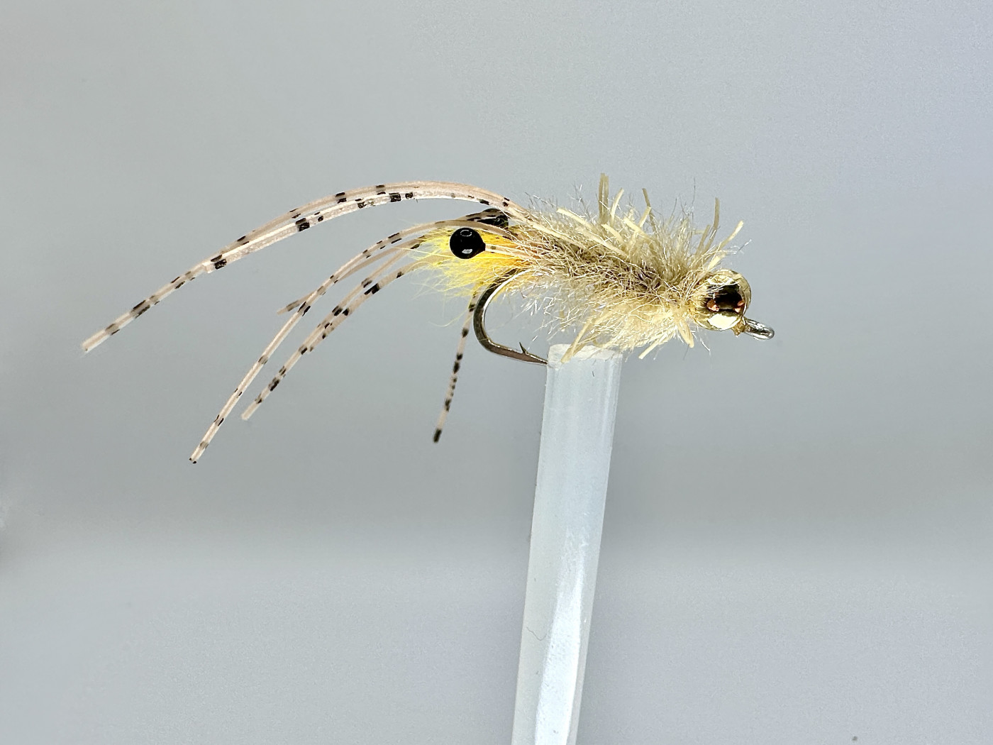 Shrimp Pattern • FlyFish Circle