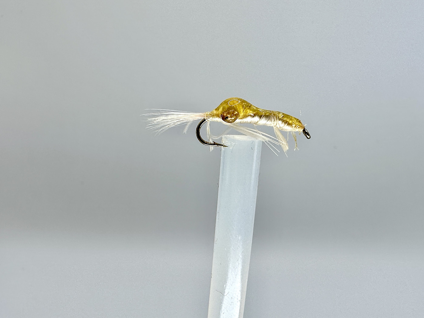 Shrimp Pattern • FlyFish Circle