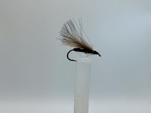 Mayflies (Ephemeroptera) • FlyFish Circle