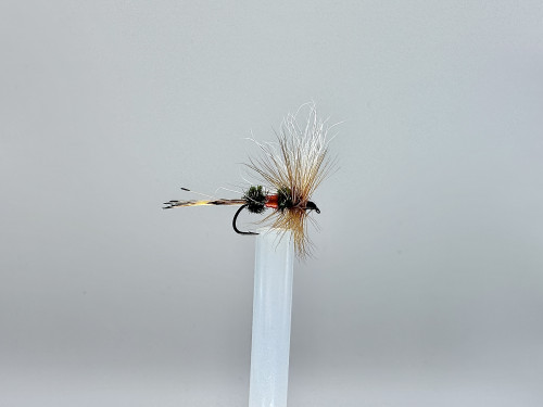 Coachman Insect Caddisflies (Trichoptera) • FlyFish Circle